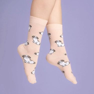 Chaussettes Shih tzu